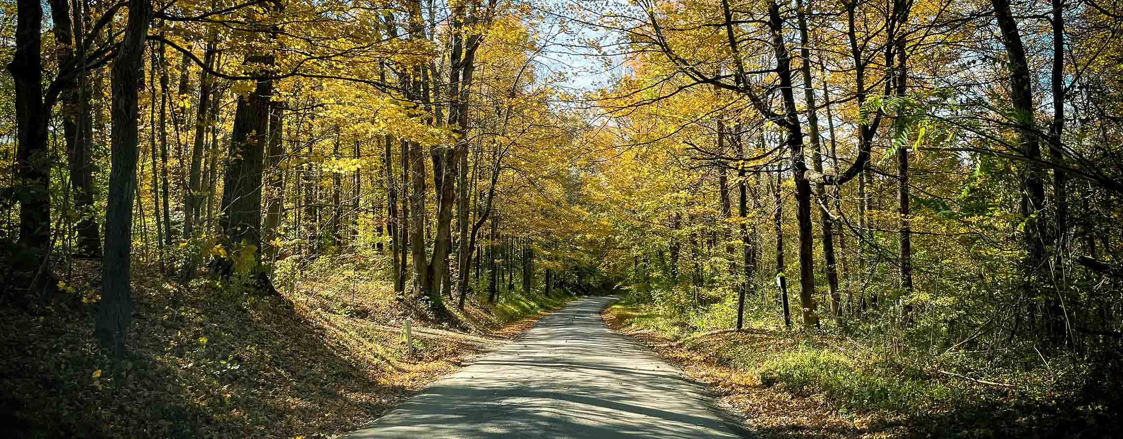 Country road in fall with yellow leaved trees in Perry County, Ohio.